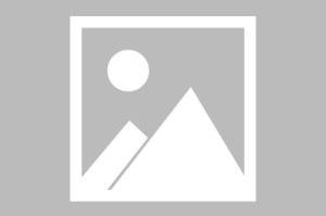 欧博abg官网入口-纳达尔退役仪式动情告别
